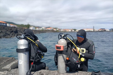 Pico Island: Guided Shore Diving for Certified Divers