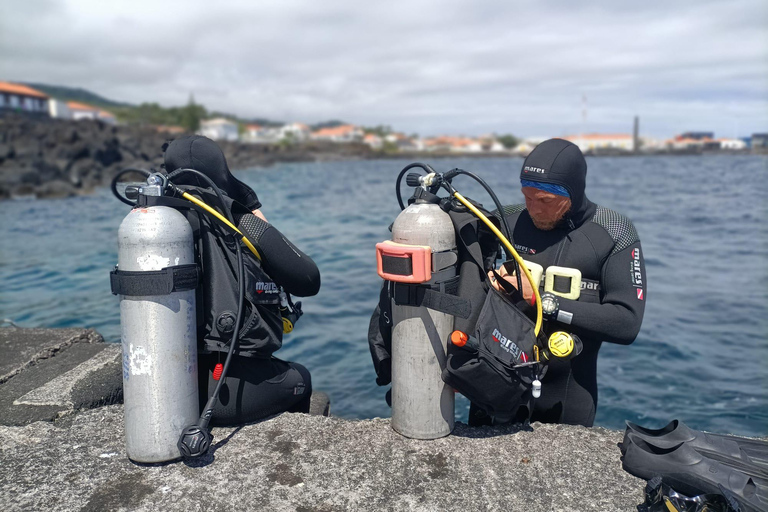 Pico Island: Guided Shore Diving for Certified Divers