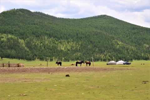 5 Dagen Terelj en Centraal Mongolië