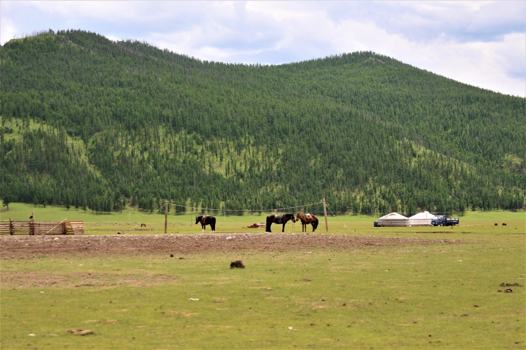 4 Day busy adventure in Mongolia