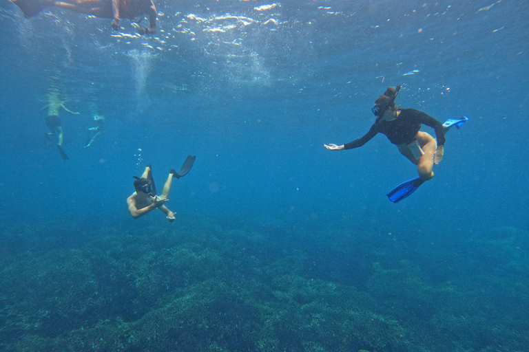 From Bali: Private Boat Nusa Penida 3-Spots Manta Snorkeling Start from Bali with Meeting Point at Sanur Port