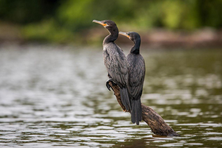 Puerto Maldonado: 3-Day Amazon Lodge Tour