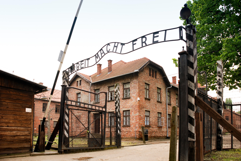 Da Cracovia: Tour guidato di Auschwitz-Birkenau e opzioni di ritiroTour in spagnolo con servizio di prelievo in hotel