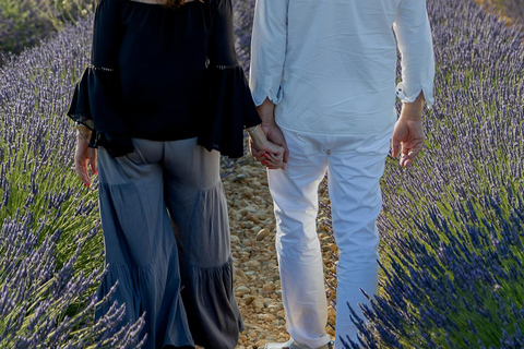 Valensole: Professional Photo in a Lavender Field Valensole: Professional photo in a lavender field