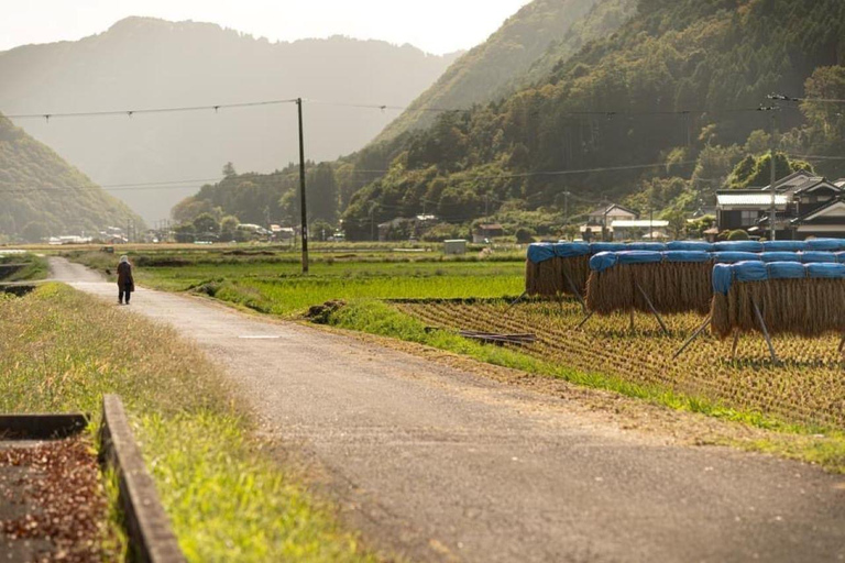 Tour in e-bike della regione di Shisō con visita a una fabbrica di sakeTour in e-bike nella regione di Shisō con visita a un birrificio di sake