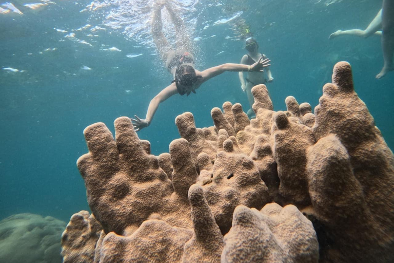 Koh Tao: Snorkeling Tour, Small-Group with Lunch & Transfer