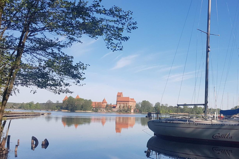 Vilnius: Trakai e il maniero di Uzutrakis Tour di mezza giornata in minivan