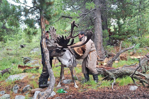 Ulaanbaatar: 9-Day Northern Mongolia Reindeer Adventure