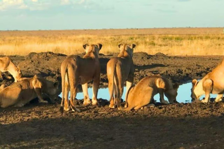 From Nairobi: Private 3-Day Masai Mara Big Five Game Drive