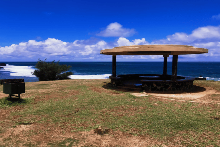 Complete South Tour of Mauritius incl. Giant Tortises