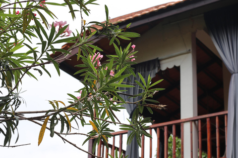 Phnom Penh: Dorpsrondleiding met kook- en etherische-olie-lesPhnom Penh: Dorpsrondleiding met kookles en workshop etherische oliën