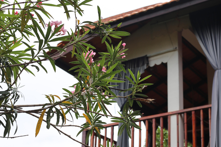 Phnom Penh: Dorpsrondleiding met kook- en etherische-olie-lesPhnom Penh: Dorpsrondleiding met kookles en workshop etherische oliën