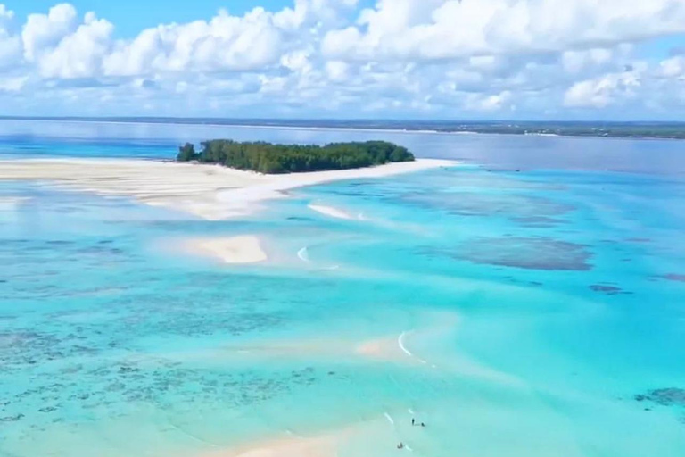 &quot; Aventura exclusiva de snorkel y avistamiento de delfines en la isla de Mnemba