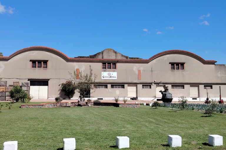 Bodega Santa Rosa: home to the largest underground cellar in South America Bodega Santa Rosa: home to the largest underground wine cellar in South America