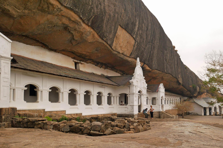 Sigiriya / Pidurangala & Dambulla Caves Tour by Local Expert
