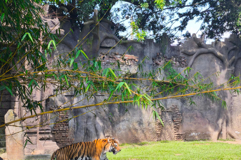 Tour of La Aurora Zoo, Historic Center, and Ciudad Cayalá in Guatemala
