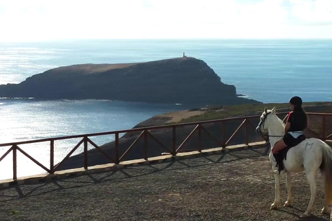 Isla de Porto Santo: Paseos a caballo180 min Aventura
