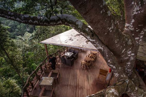 Chiang Mai: Mae Kampong Village Trek & Local Food Experience
