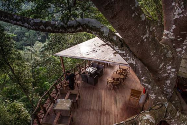 Chiang Mai: Mae Kampong Village Trek & Local Food Experience