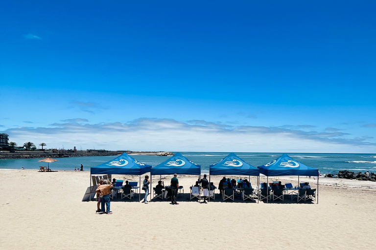 Swakopmund: Beach Painting Session with Artist Guide