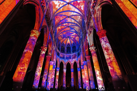 Brussels Cathedral: Immersive Sound and Light Show – Luminiscence Live Choir Version - Gold Category