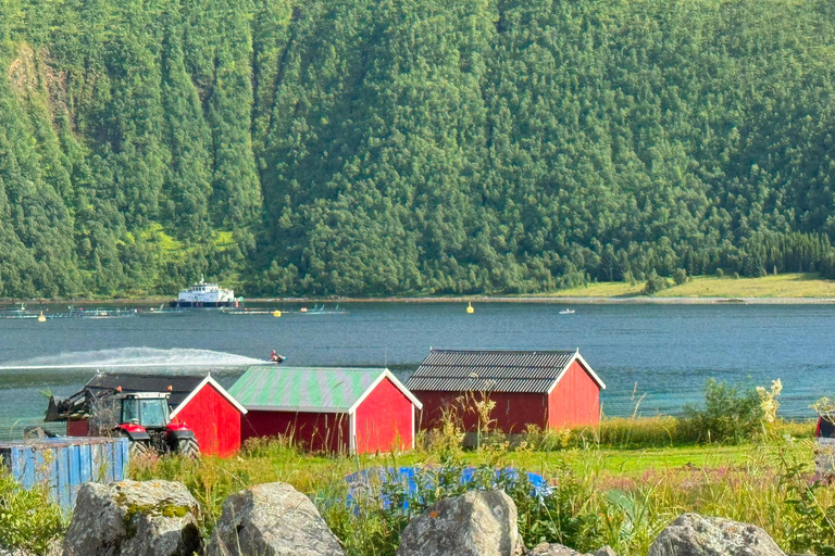 Tromso: SENJAtional: Sommaroy and Senja (7 people max) Tromso: One Day Trip to Senja