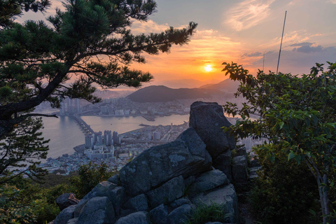Busan Bongnaesan mountain 395m Morning Hiking Tour