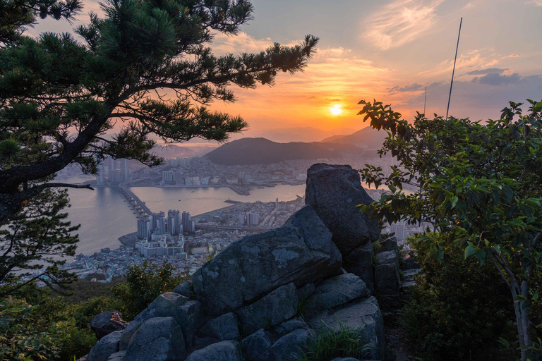 Busan Bongnaesan mountain 395m Morning Hiking Tour
