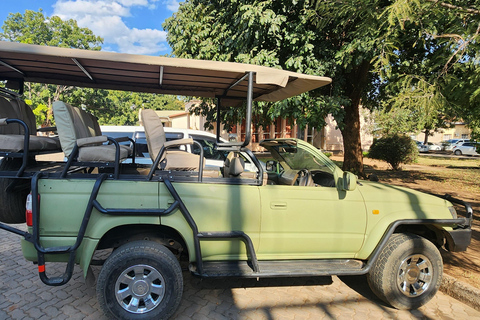 Rhino Walk & Game Drive Safari in Mosi oa Tunya NP