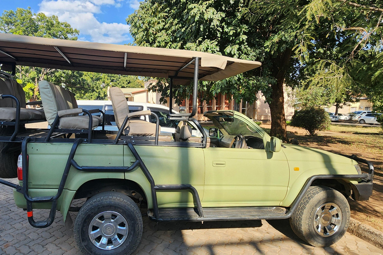 Rhino Walk & Game Drive Safari in Mosi oa Tunya NP
