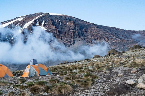 Escalada de 7 días al Kilimanjaro por la Ruta Lemosho