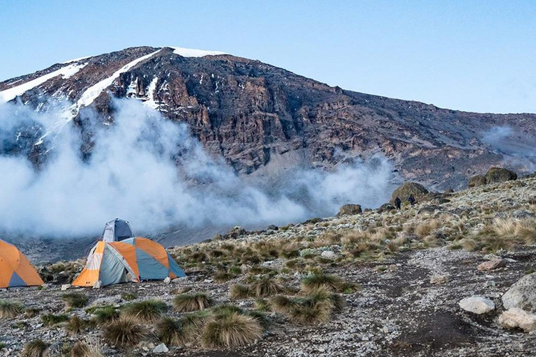 Escalada de 7 días al Kilimanjaro por la Ruta Lemosho