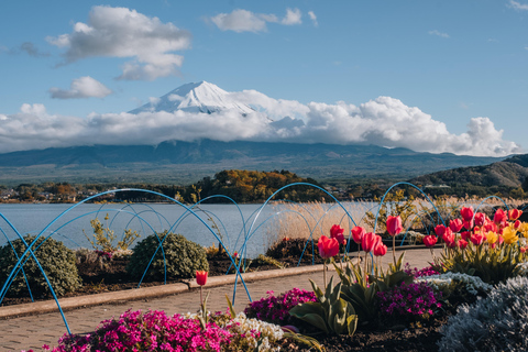 Tokyo: Mount Fuji Day Tour, Oshino Hakkai, Lake Kawaguchi Lunch Excluded | 8:30 AM from Shinjuku Station