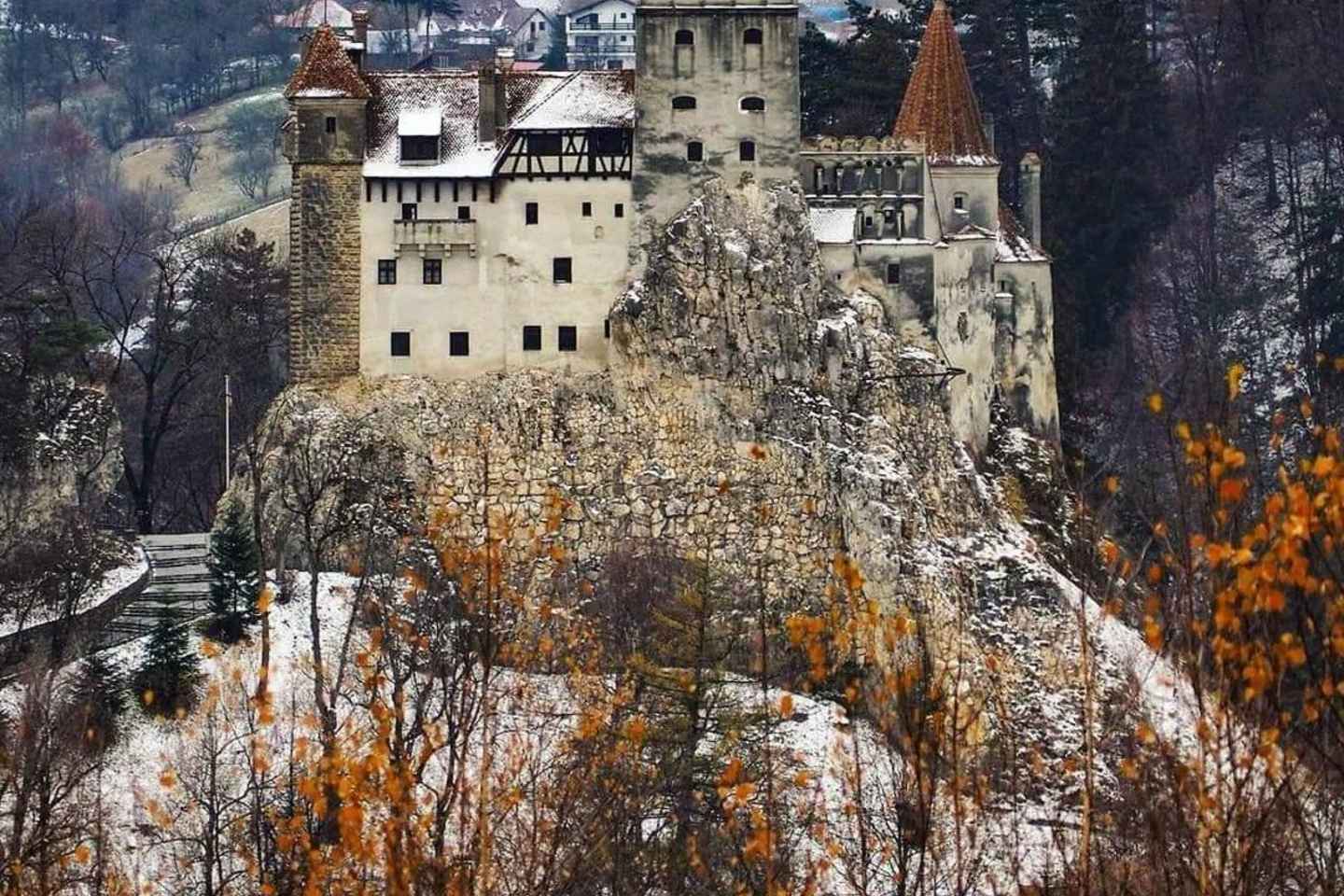 Visite : Ours, Château de Bran et Forteresse de Râșnov