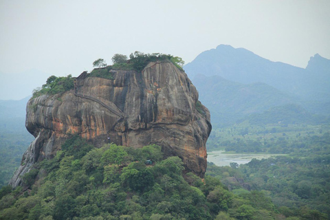 Sigiriya Dambulla &amp; Tagestour ab Kandy (Kleingruppentour)