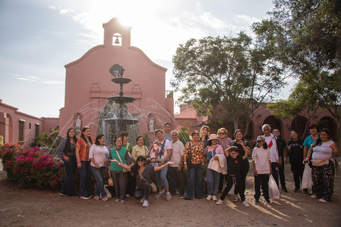 Exclusive: Hacienda Tacama from Lima + Paracas + Ica