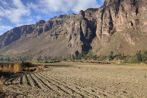 Flavor and Culture in Parcarhuasi: Ancestral Textiles and Pachamanca Banquet