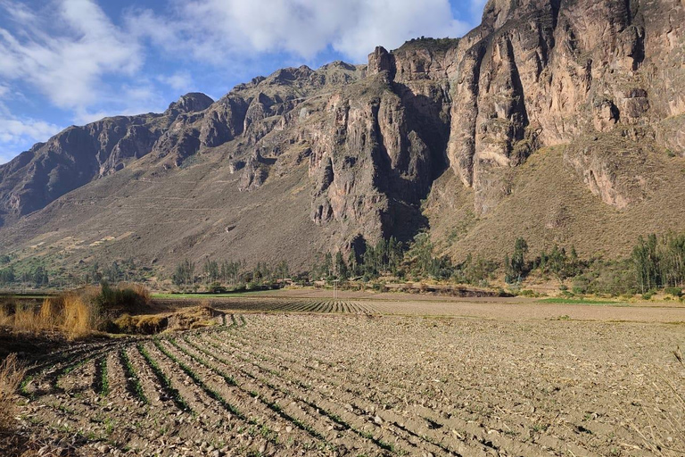 Flavor and Culture in Parcarhuasi: Ancestral Textiles and Pachamanca Banquet