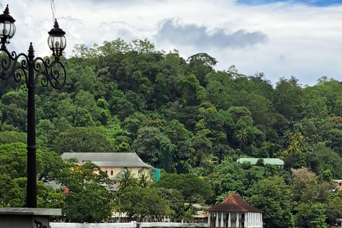 Sri Lanka Street Food Tour