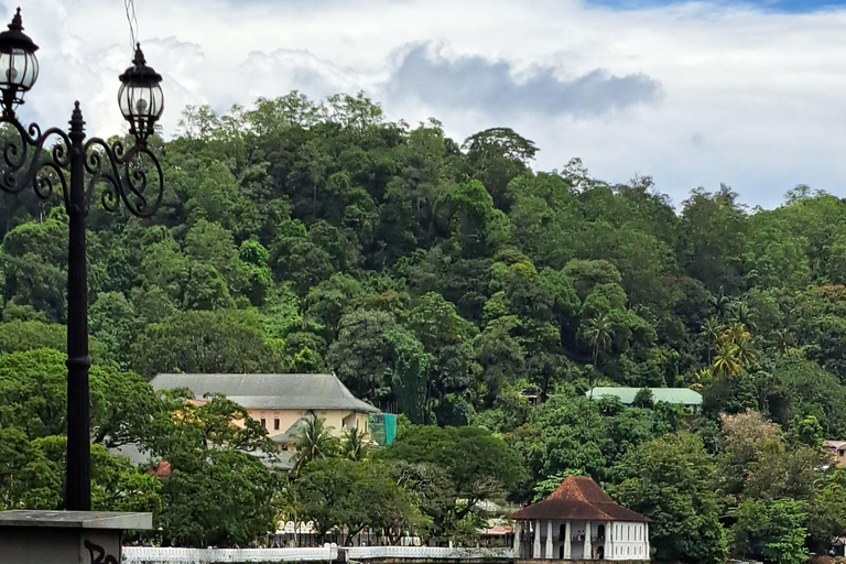 Tour gastronomico in Sri Lanka
