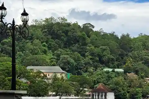 Visite culinaire au Sri Lanka