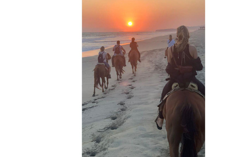 Sunset by Horse on the Beach