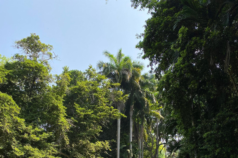 Cartagena: Guided Experience in the Botanical Garden