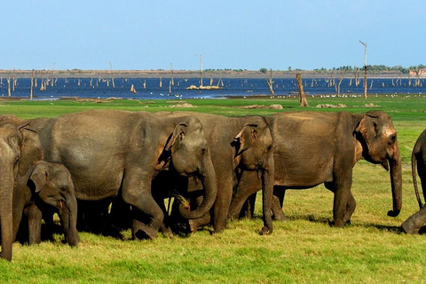 Sigiriya : Best of Sri Lanka - Cultural Tour