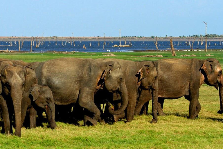 Sigiriya : Best of Sri Lanka - Cultural Tour