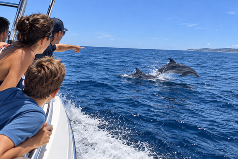 Mauritius: Dolphin Swim, Lunch & South Island Discovery Tour