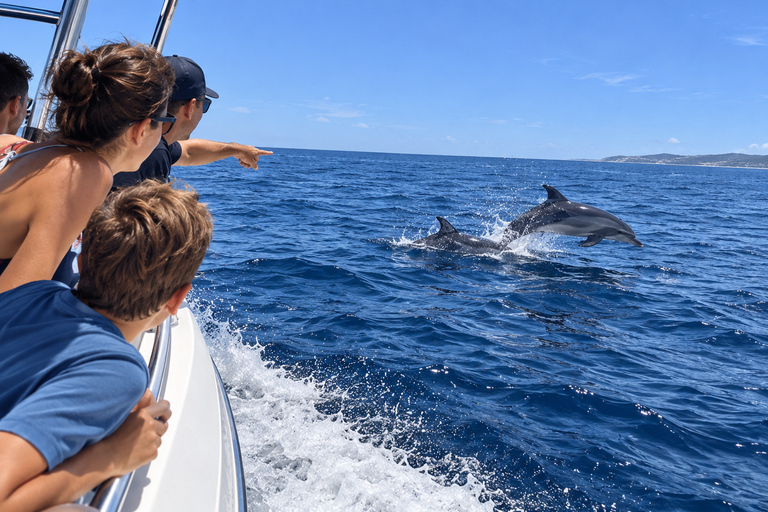 Mauritius: Dolphin Swim, Lunch & South Island Discovery Tour