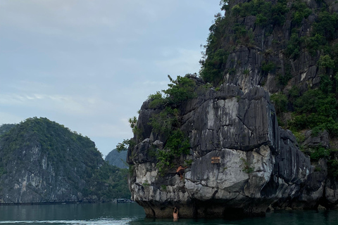 Cat Ba : tour en bateau de Lan Ha en kayak pour observer le plancton bioluminescent