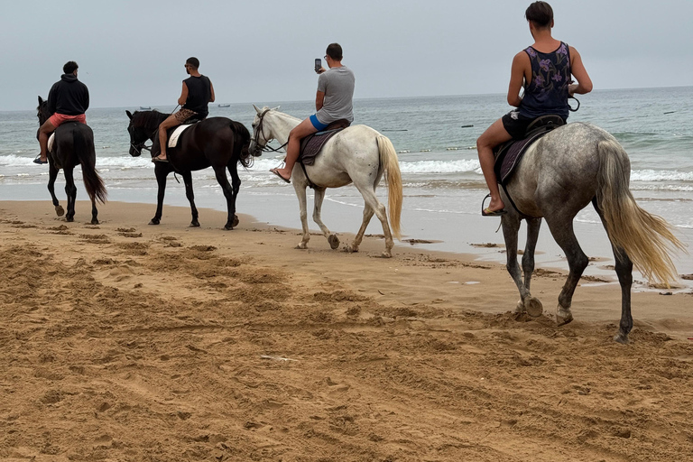 Taghazout: Private Horse Ride on Banana Beach with Pickup