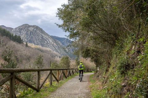 From Oviedo and Gijón: Day Trip to the Somiedo Lakes and the Senda del Oso From Gijón in Spanish: Trip to the Somiedo Lakes and Senda del Oso
